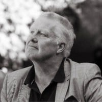 Wim Looijen
